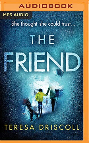 The Friend view 2