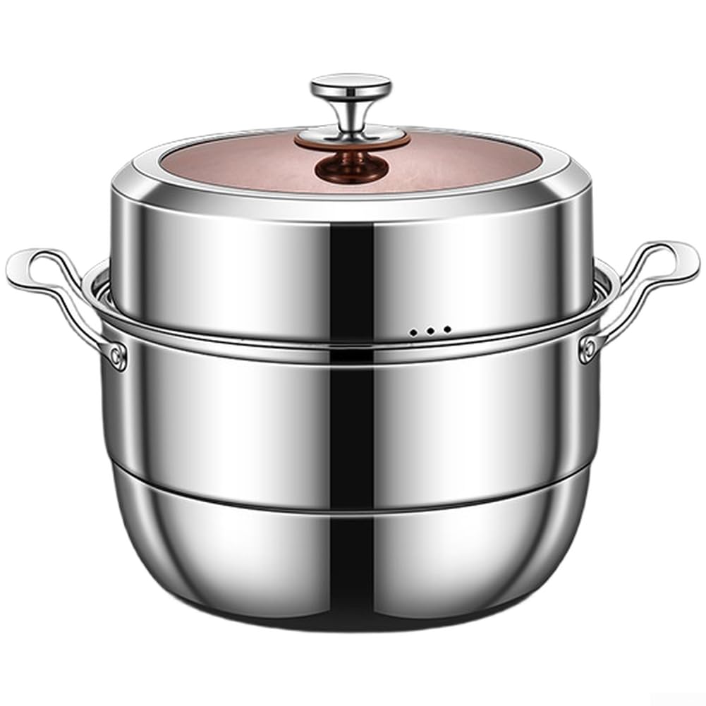 Olla Vaporera para acero Inoxidable 304 5L Doble Capa con Rejilla para Cocinar Arroz Verduras al para vapor Grande Cocina Familiar