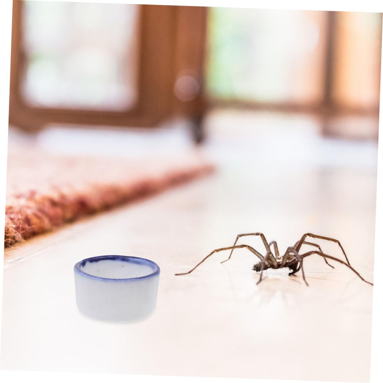 Kisangel 72 Ciotole per Rettili da Resistenti e Leggere per Facili da per Animali Come Scorpioni Tartarughe e Lucertole