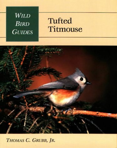 Tufted Titmouse Tufted Titmouse