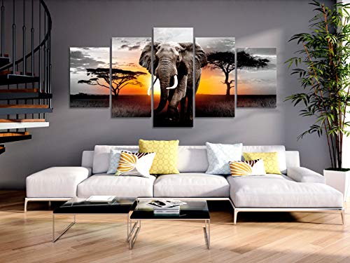 murando Schilderij op vlies canvas Afrika 200x100 cm XXL Print Wandschilderij 5 delen Foto Grafiek Fotografie Wanddecor - Landschap Dieren Olifant g-C-0054-b-o - Afbeelding 4