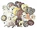 Conchos Grab Bag! Western Styles, Mixed Shapes and Sizes, Slotted; 25 Pieces