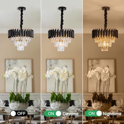 Image of SUANI Black Golden Italian K9 Crystal Pendant Ceiling Metal Chandelier | Chandelier for Living Room | Jhumar for Home | Jhoomar for Hotel | Chandelier Light, Black Gold, Round (400) mm