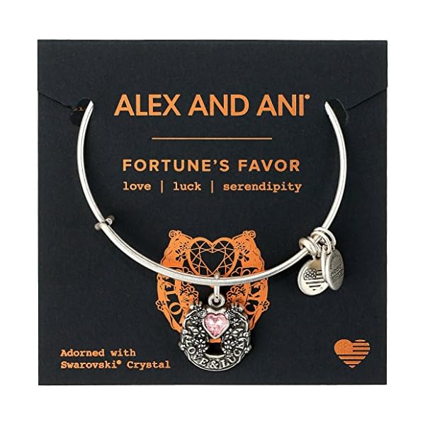 Alex and Ani Path of Symbols Expandable Bangle for Women, Fortune’s Favor Charm, Rafaelian Silver Finish, 2 to 3.5 in
