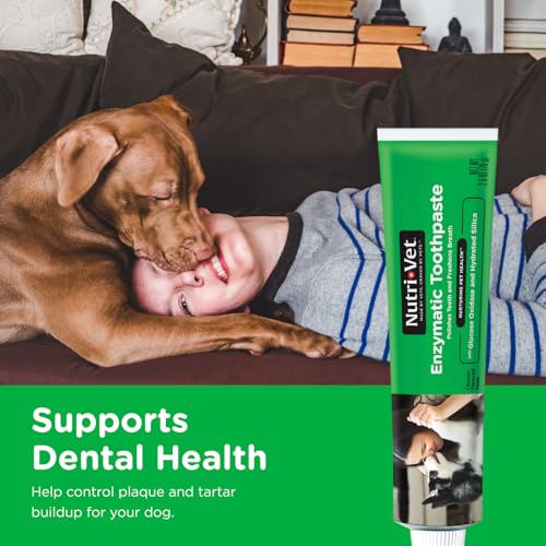Image of Nutri-Vet Enzymatic Dog Toothpaste, Dog Dental, Chicken Flavor, 2.5oz | Teeth Cleaning for Dogs, Dog Breath Freshener, Plaque Remover, Non Foaming, Made in USA, Oral Care, Tartar Control