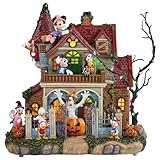 Disney Halloween Party House with Lights and Music