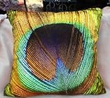 Fablegent XH6 Elegant Decorative Throw Pillow Cover - Peacock Feathers Design on Both Sides - Soft Velvet Fabric - Return Shipping Covered for Continental US Regions