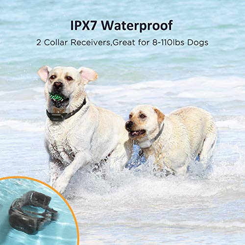 PATPET Dog Shock Collar for Small Medium Large Dogs(8-110 lbs) 2 Dogs, Rechargeable IPX7 Waterproof, 3000Ft Control… - Image 4