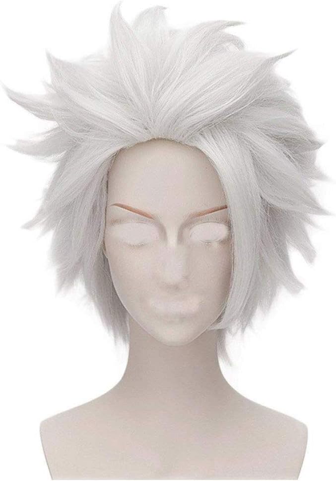 FVCENT Men's Short Hair Gray Bald Fluffy Wig Halloween Costume Party Movie adult Cosplay Wig (grey)