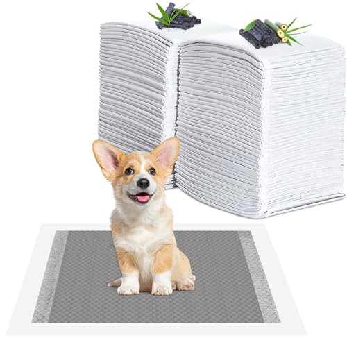 YADOBIG 100 Piezas Empapadores Perros, 33 x 45cm Carbón para Control de Olor Almohadillas Absorbentes, Almohadillas de Adiestramiento de Perros, Superficie de Secado Rápido