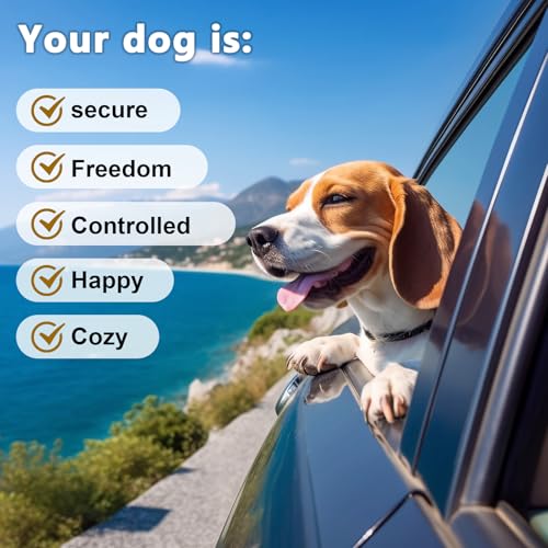 ChAusa 2 Stück Anschnallgurt Hund Auto 80cm Hunde Sicherheitsgurt Hundegurt Auto Hunde Anschnallgurt Auto Bissfeste Hundeleine aus Stahldraht PVC für alle Hunderassen Katzen& Autotypen(Blau+Rot)