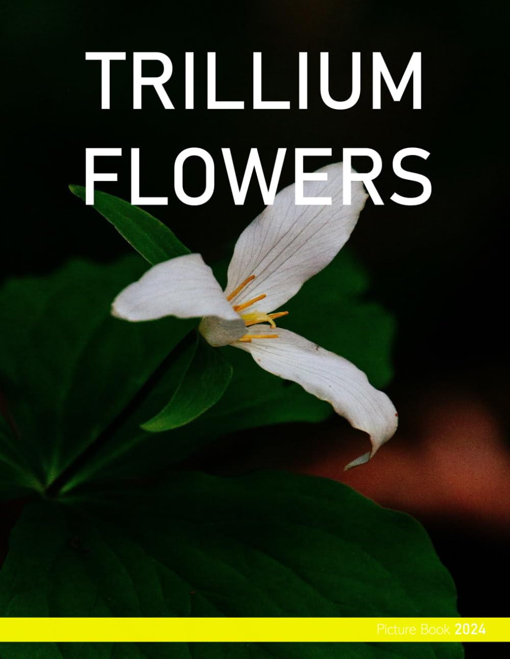 Trillium Flowers: Cool Pictures of Trillium Flowers - Coffee Table Book or Perfect Gift for Flowers Enthusiasts, and Nature lovers ....Relaxing & Meditation.