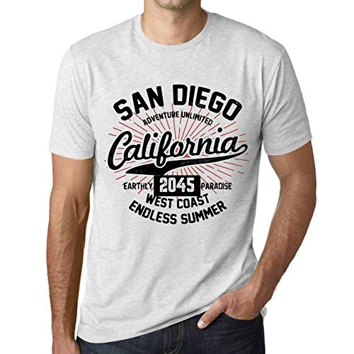 Image of ONE IN THE CITY Men's Graphic T-Shirt San Diego California Endless Summer 2045 Vintage White 3XL