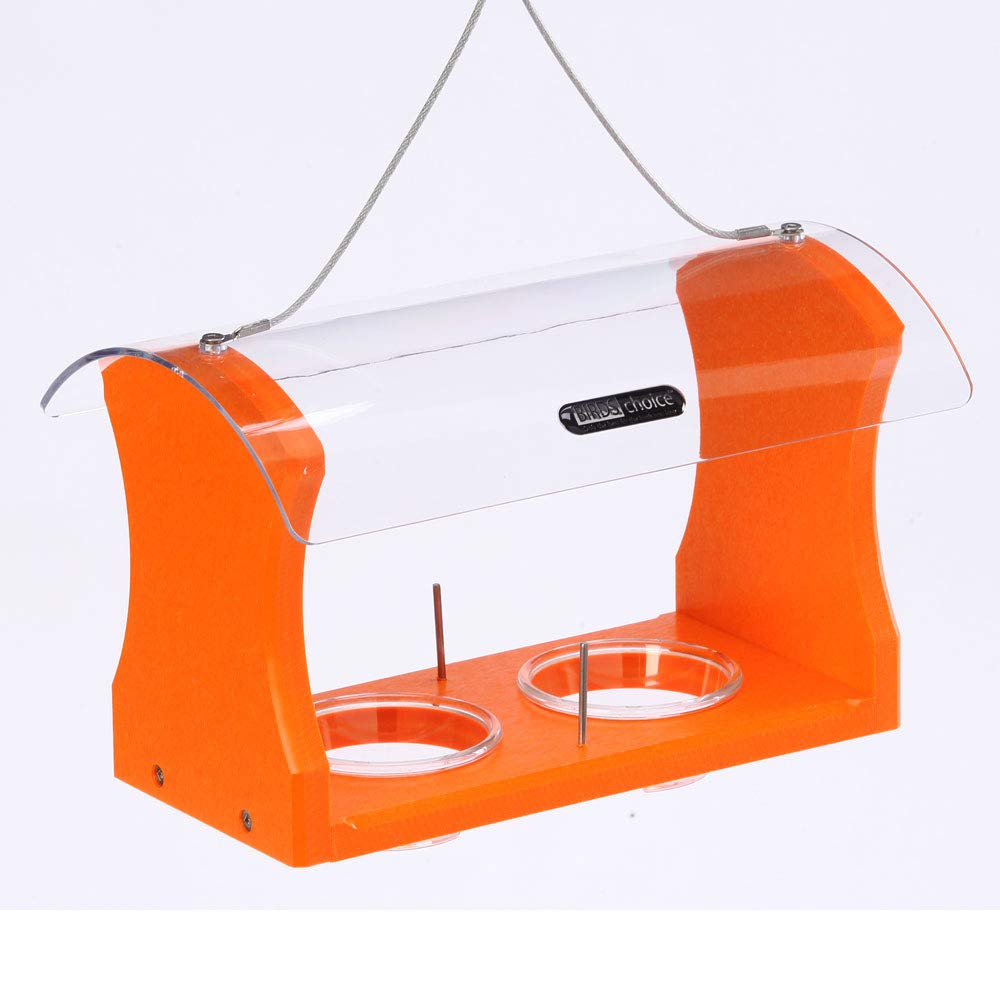 Birds Choice Oriole Jelly and Fruit Feeder