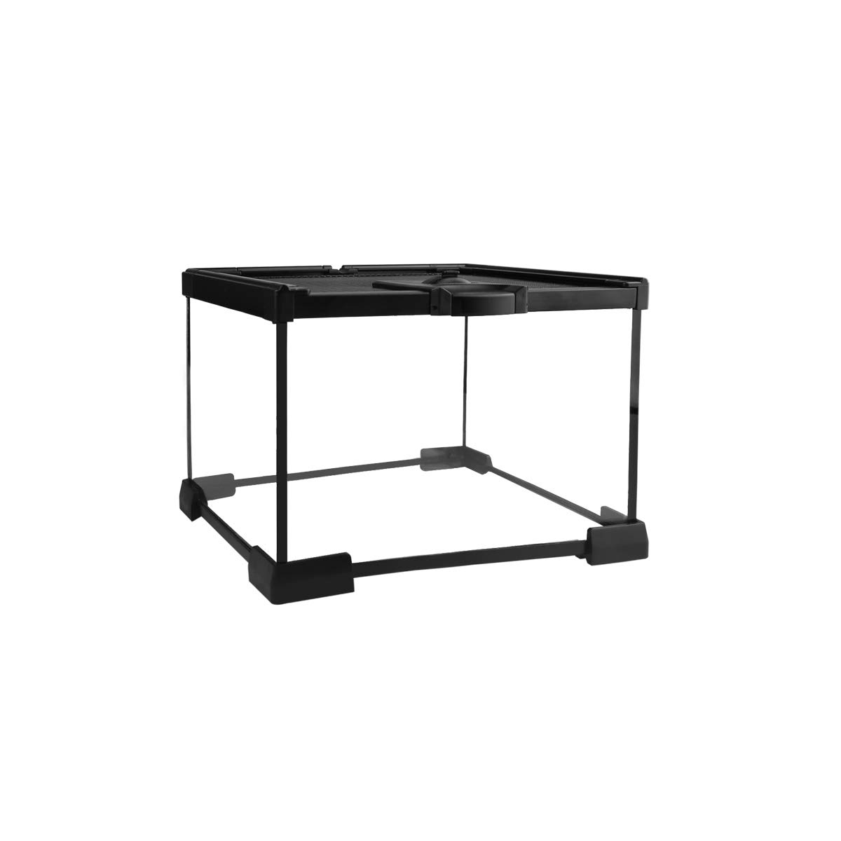 Buy NANEEZOO Mini Reptile Glass Terrarium Tank Reptile Habitat Cage 8