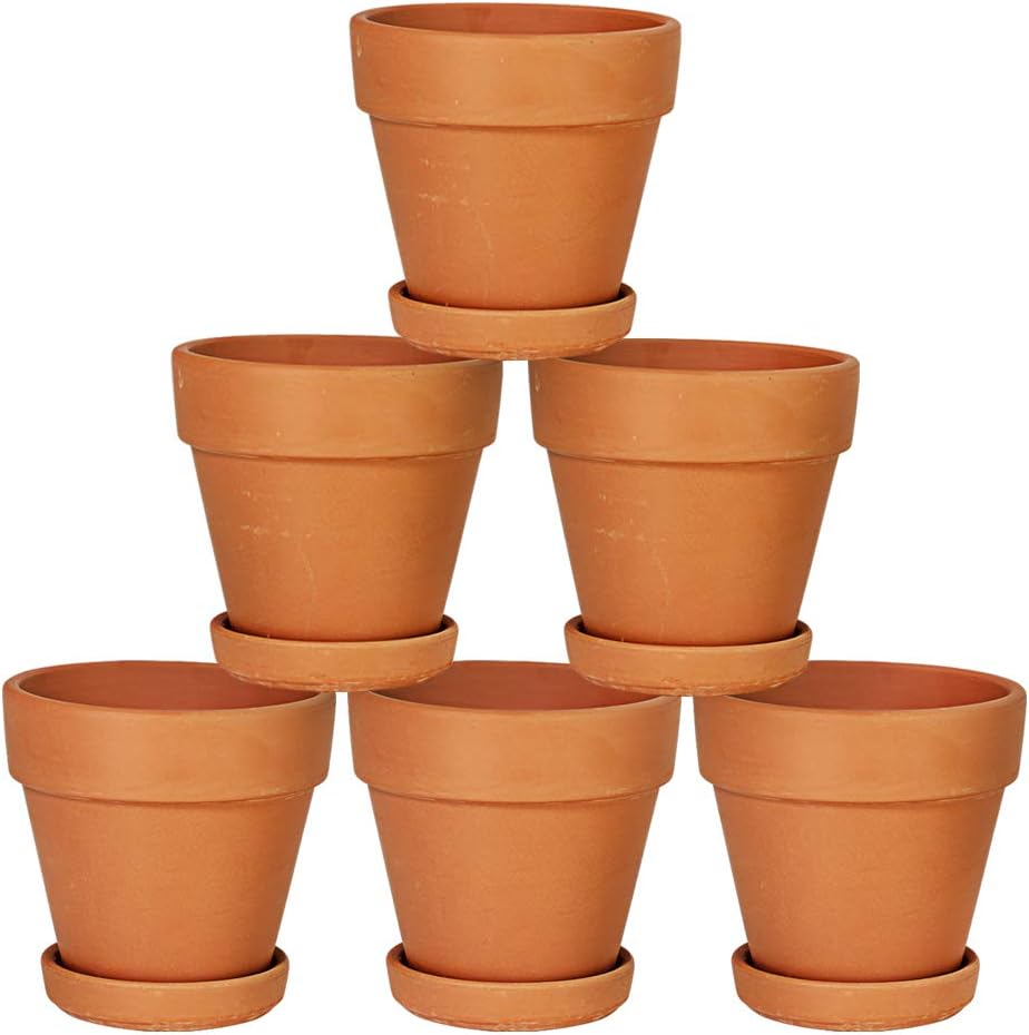 Best Pots for Indoor Plants Wisely Taken