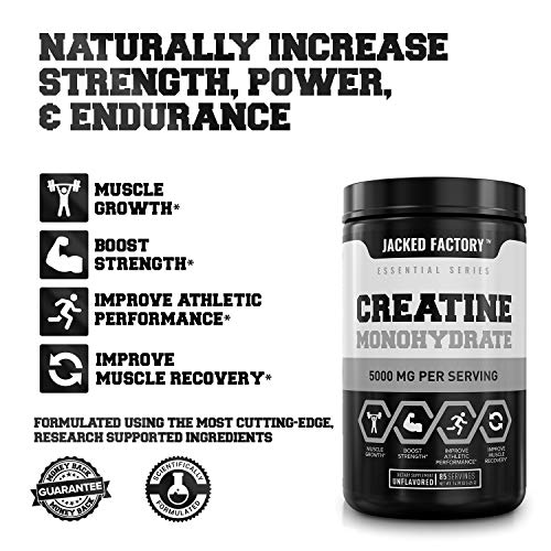 Creatine Monohydrate Powder - Image 3