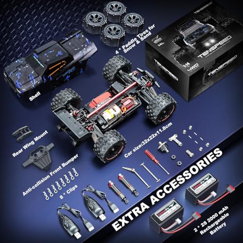 1:14 Scale 60KPH RC Truggy