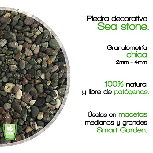 Mejores precios y opiniones de Muros de piedra interceramic disponible en línea. 23 Mejores precios y opiniones de Muros de piedra interceramic disponible en línea. 17