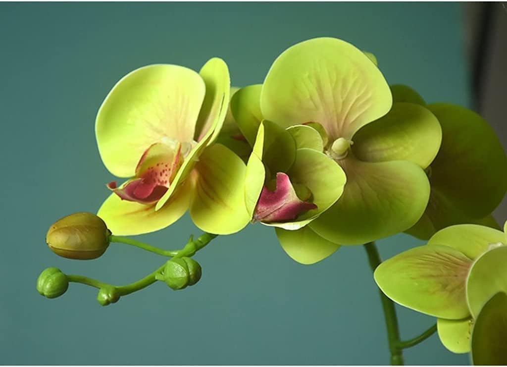 Orchidee, Fiori Artificiali, Fiori Finti, Piante Artificiali Vivaci, Decorazioni per la tavola e per Feste.