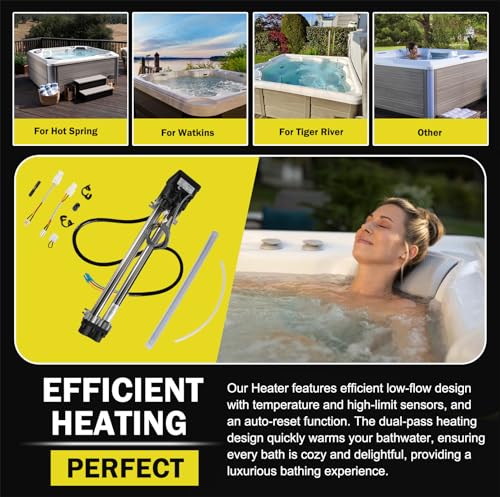Chauffage spa C3160-2S double baril compatible Limelight 73791