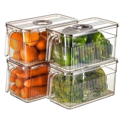 Demanca 冷蔵庫保管野菜室11.2*25.6*13.5cm PET 食品グレードのプラスチック製野菜室ボックス 蓋付き 時間指定鮮度保持 ホームキッチン 大容量野菜室ボックス ハンドル付き キッチン収納ボックス 保管と整理 セーフティボックス 内蔵排