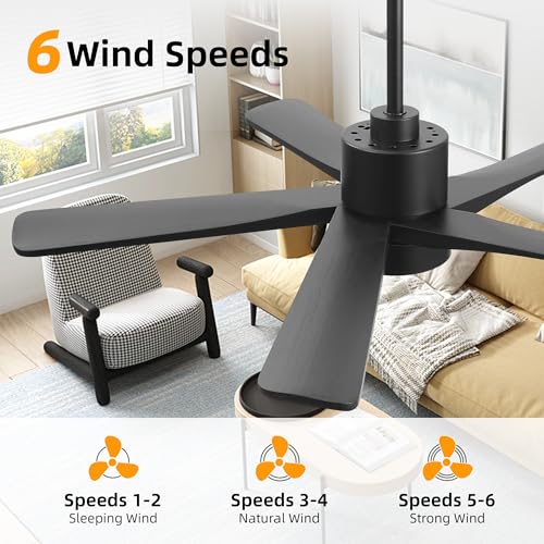 Image of WINGBO 48 Inch DC Ceiling Fan with Lights and Remote Control, 5 Carved Solid Wood Blades, 6-Speed Noiseless Reversible DC Motor, Indoor Ceiling Fan in Matte Black Finish with Black Blades