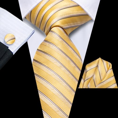 Image of Dubulle Mens Tie and Lapel Pin Paisley Striped Floral Necktie for Men Pocket Square Cufflinks 4PCS Set Wedding Party