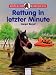 Produktbild Rettung in letzter Minute (Arena Taschenbücher)