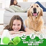 24 PCS Peppermint Oil Fox Repellent for Gardens UK, Natural Spider Mouse Deterrent Foxes Deterrent Balls Protect Your Entire Garden & Outdoor Areas - Image 5