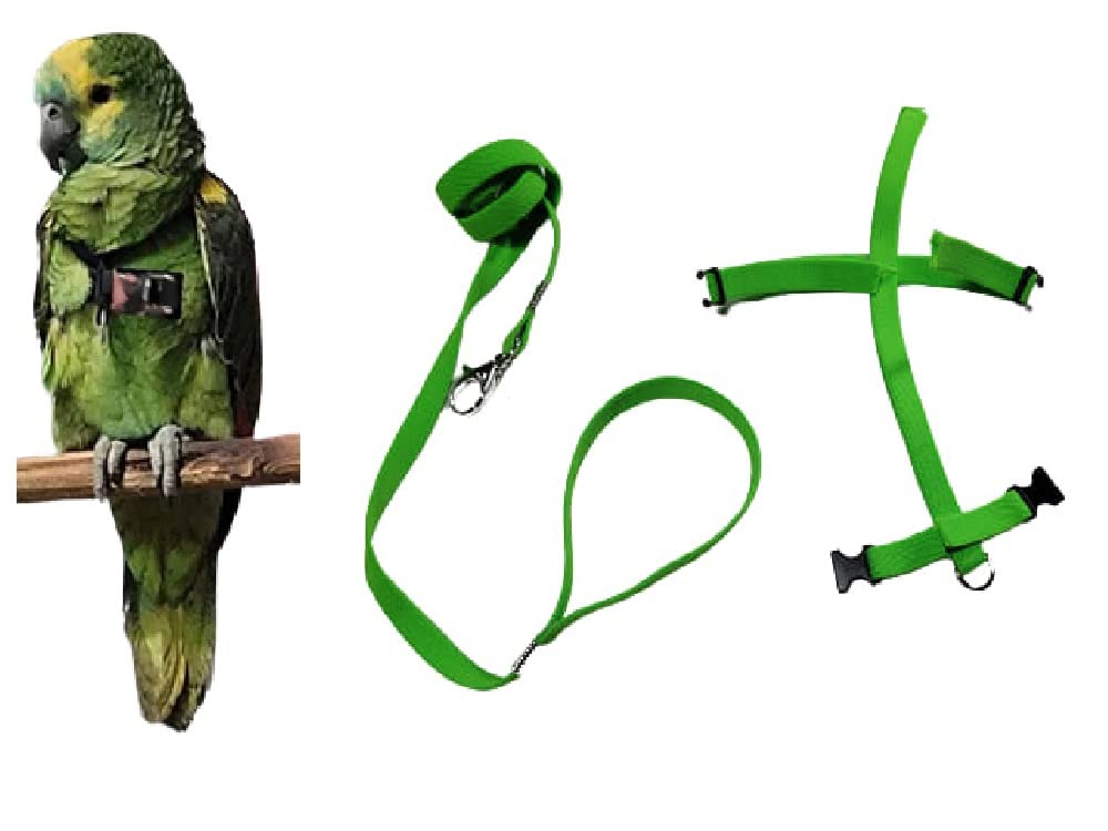 Peigne ruban élastique 10 mm attache acier gaine 1m Amazone Parocheto Conure