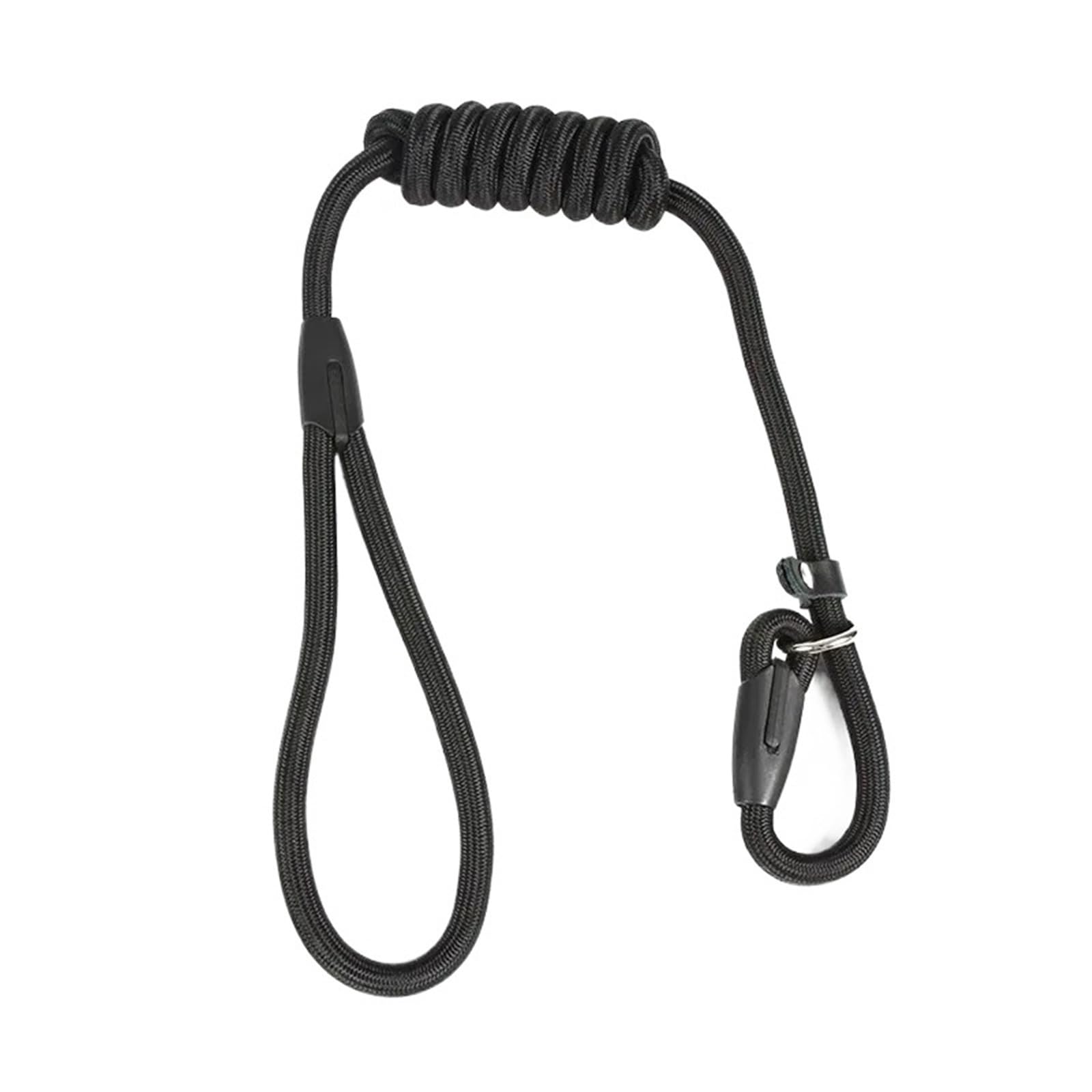 Laisse de dressage pour chien qui ne tire pas grâce au collier en nylon