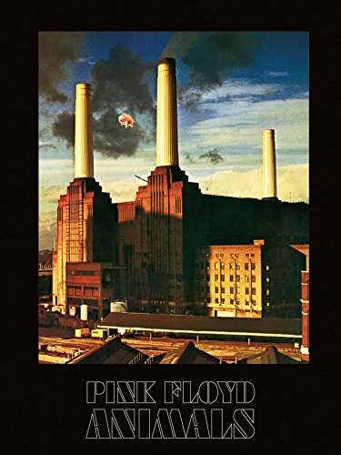Pyramid International Pink Floyd (Animals) -Canvas Print 30 x 40cm, Wood, Multicolour, 30 x 40 x 1.3 cm