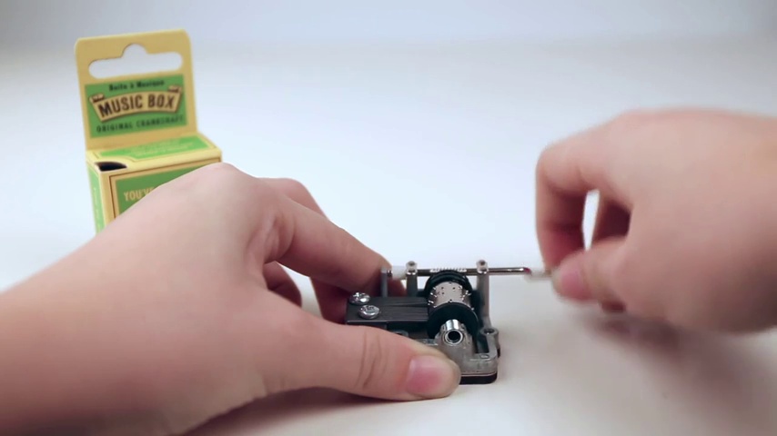 Amazon.com: Kikkerland You've Got a Friend Crank Music Box : Home