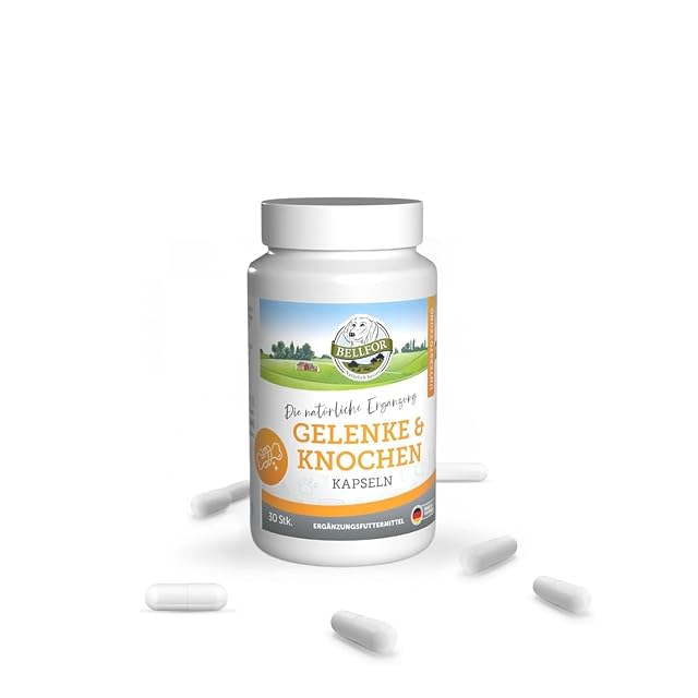 Foto 2 de 8 de Bellfor Complementos para Articulaciones para Perros Gelenke & Knochen 30 Cápsulas. Suplementos para Perros…