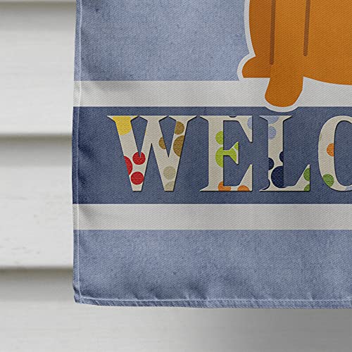 Drapeau Border Terrier Bienvenue Grand Format en Toile pour Maison - 5