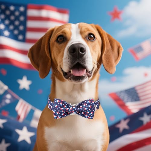 Collier pour chien en coton MACA Bates idéal pour balades au parc