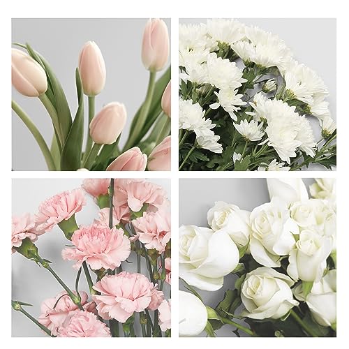 Franklincovey - Blooms Address/Phone Tabs - Expansion For Planners (Pocket, Pink/Green) #TOP4