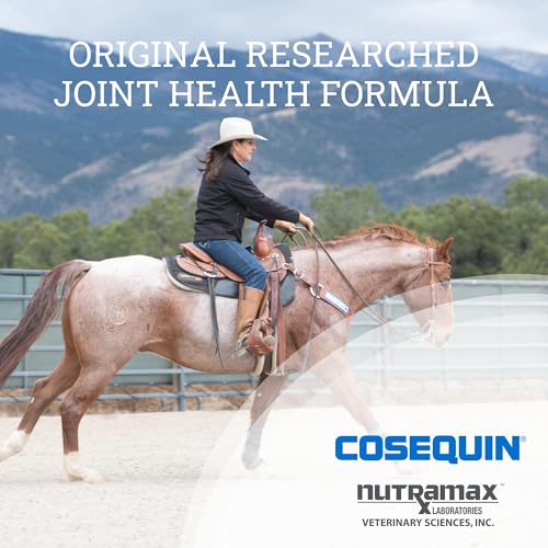 image for Nutramax Laboratories Nutramax Cosequin Original Joint Health Suppleme
