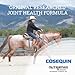 Nutramax Cosequin Original Joint Health Supplement for Horses - Powder with Glucosamine and Chondroitin, 280 Grams