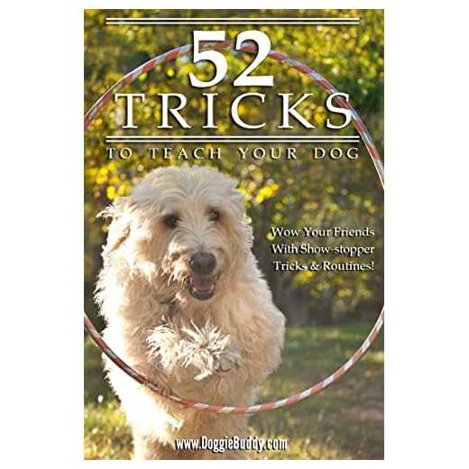 52 Tricks To Teach Your Dog