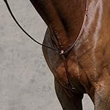 Suffolk Raised Standing Martingale, Color: Brown, Size: Horse-F/S