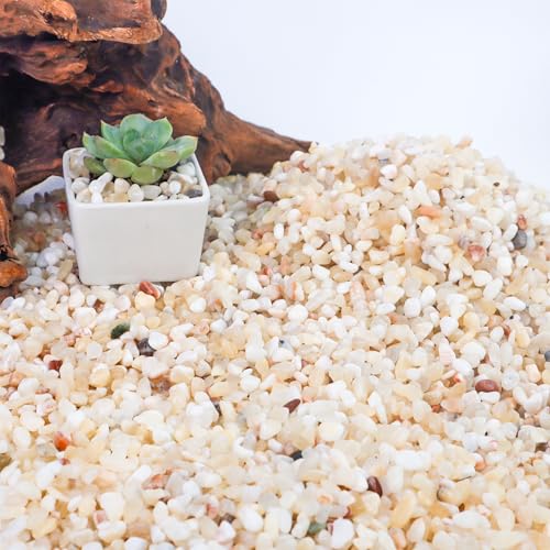 Image of CJGQ 7lb Aquarium Gravel for Plants,1 /5 Inch Natural Decorative River Rocks for Succulent and Cactus Landscaping, Natural Small Rocks for Fish Tanks, Vases & Terrariums