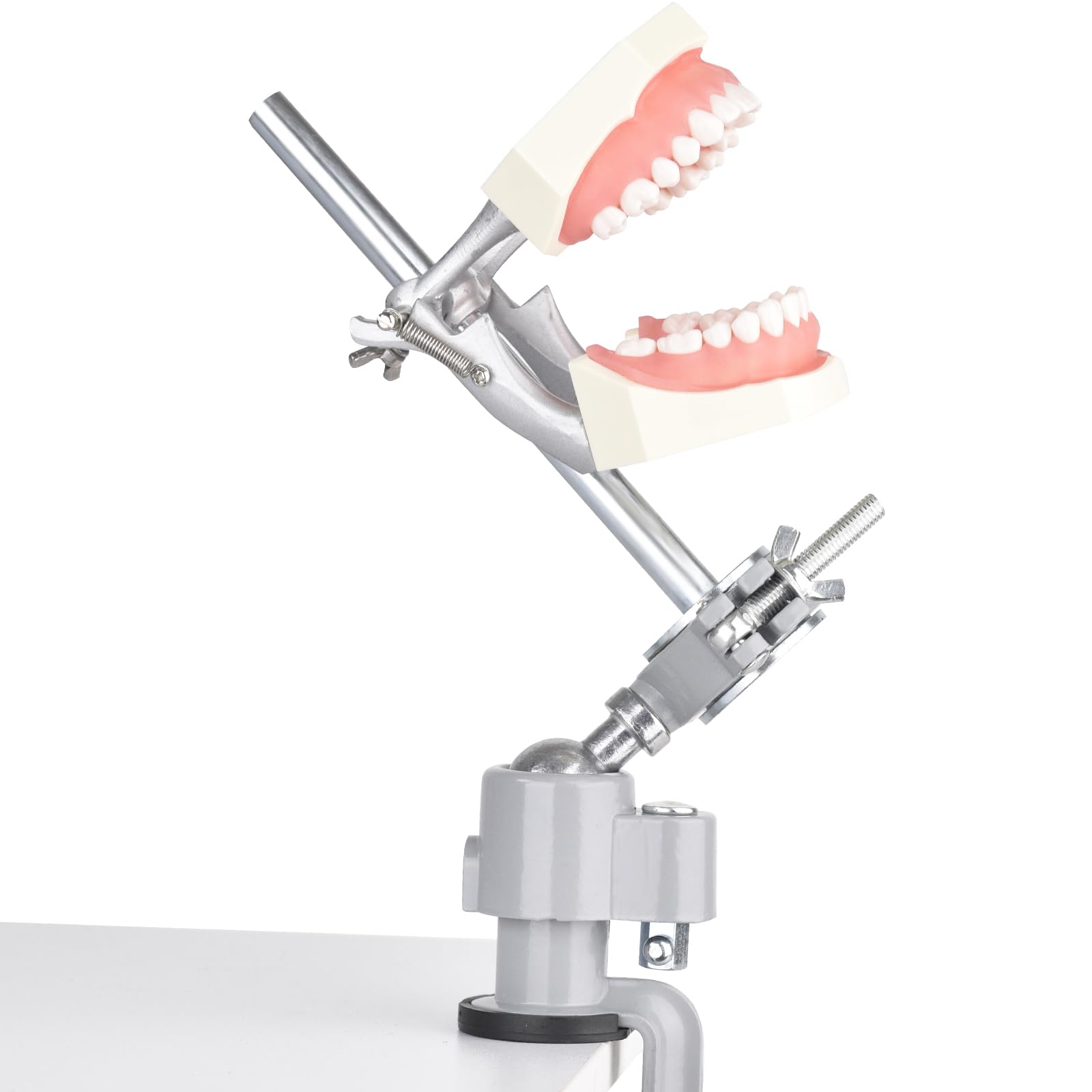 HMXJ-01 Model Mounting Pole, Desktop Fixed 360° Rotating Training Stand, Compatible with Kilgore, Columbia, Nissin, for Simulation Practice and Educational Practice