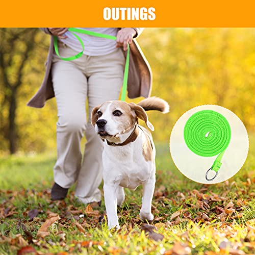 Nuanchu 60 Pieces Puppy Slip Leash Pet Pulling Leashes With O-Ring For Puppy Pet Animal Control Grooming Shelter Rescues Walking Training Doggy Daycare #TOP3