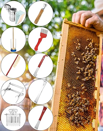 Qwork 10-teiliges Imkerei-Werkzeugset für Imker