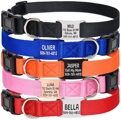 GoTags Dog Collar with Personalized Nameplate