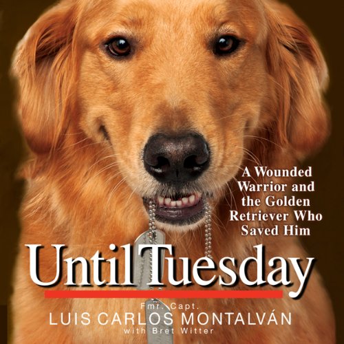 Cover art for Until Tuesday