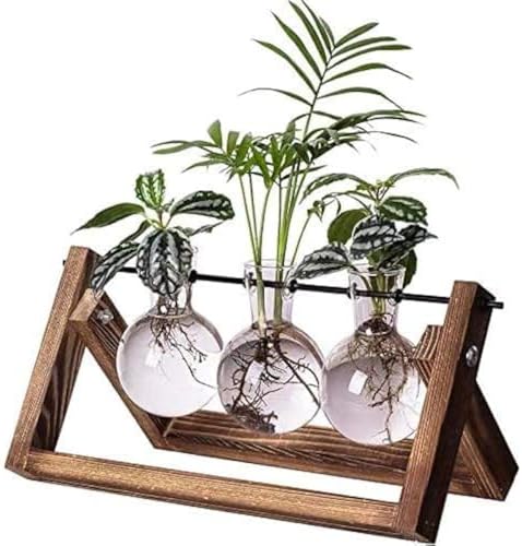 Kingbuy Plant Terrarium Propagation Station - 3 Glass Bulb Vases ...