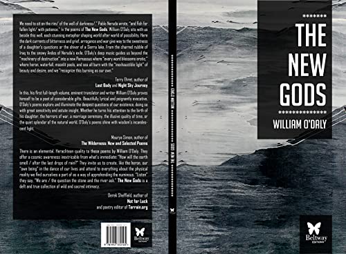 The New Gods - Image 3